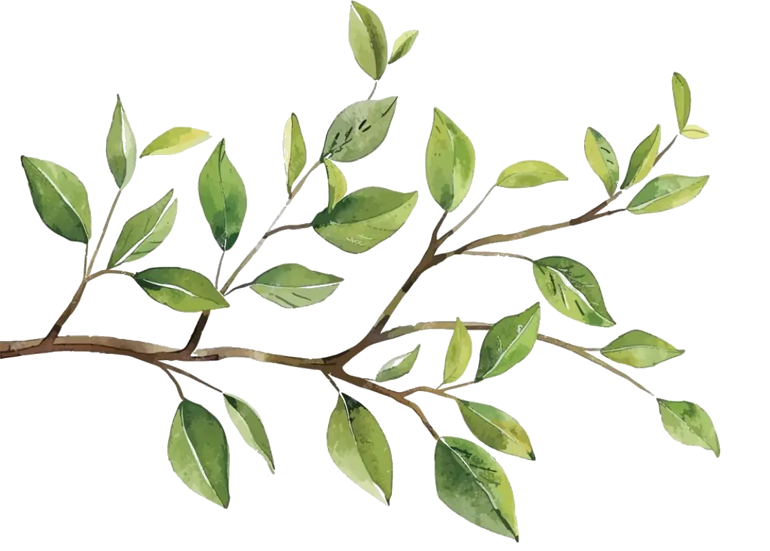 Dekoracja