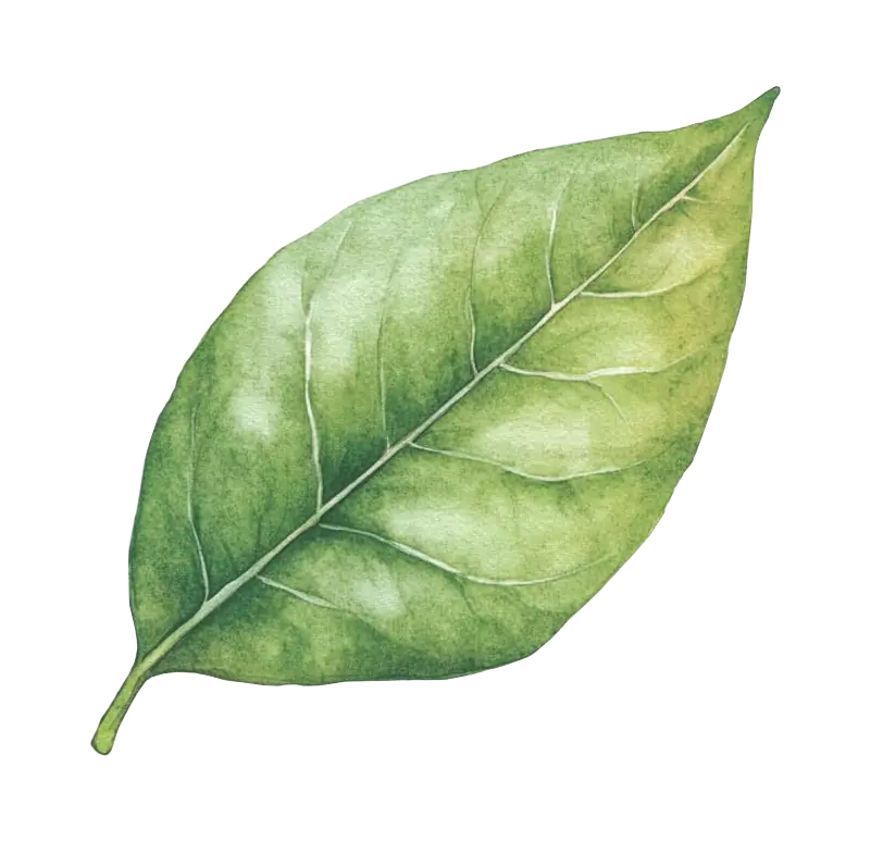 Dekoracja